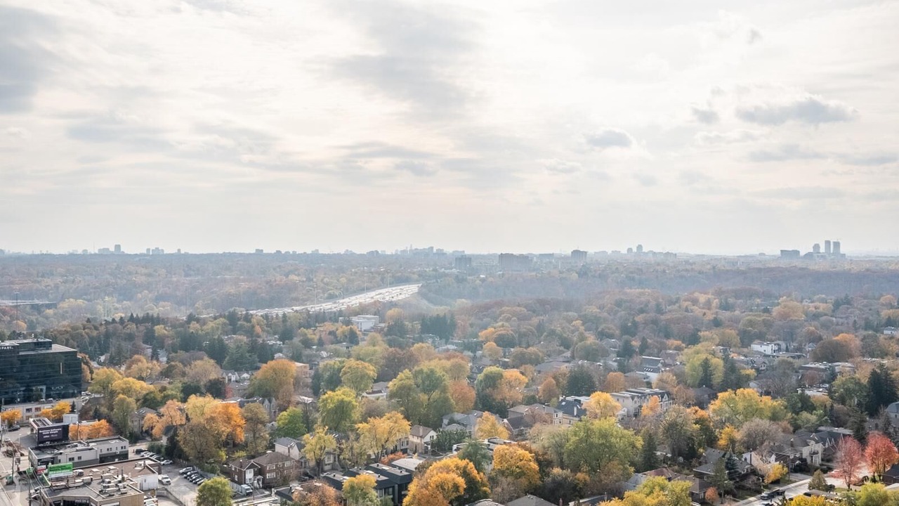 Photo of Others in Willowdale