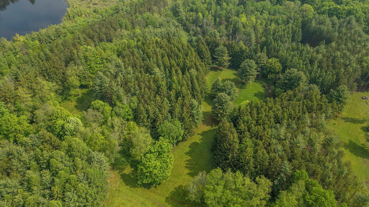 Photo of Others in Caledon