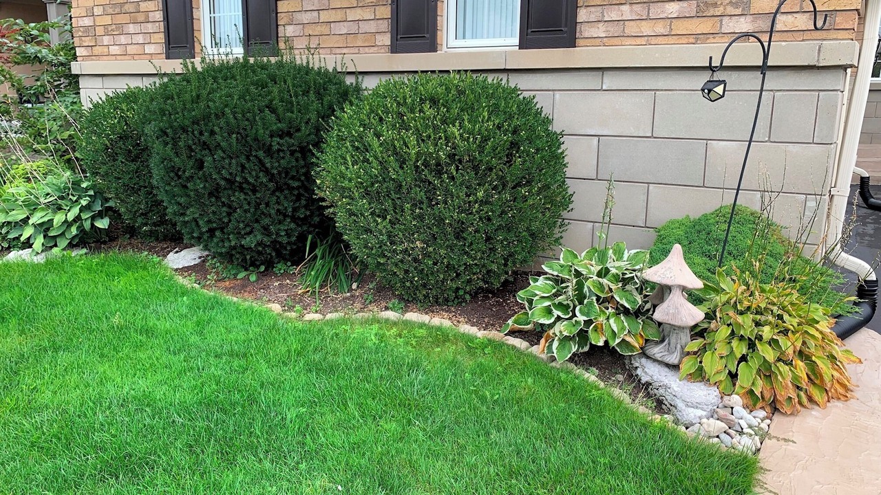 Photo of Outdoor in Brampton