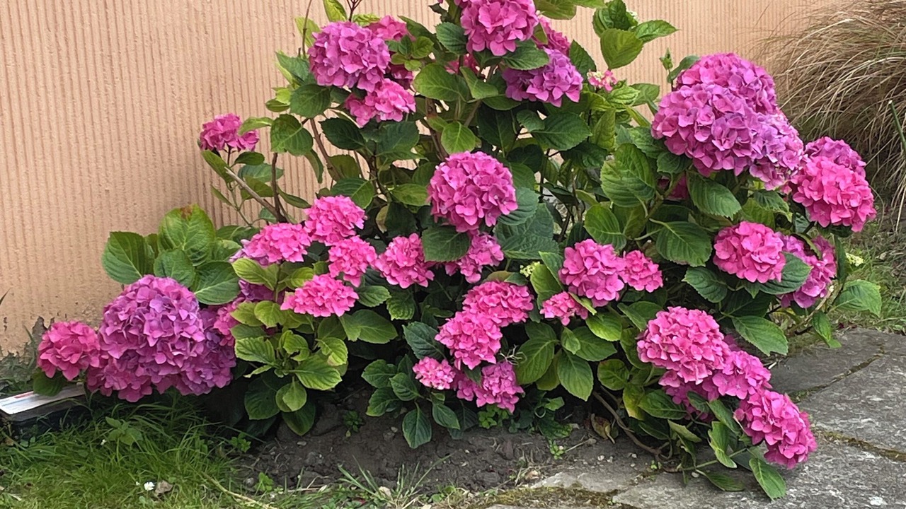 Photo of Outdoor in Bondy