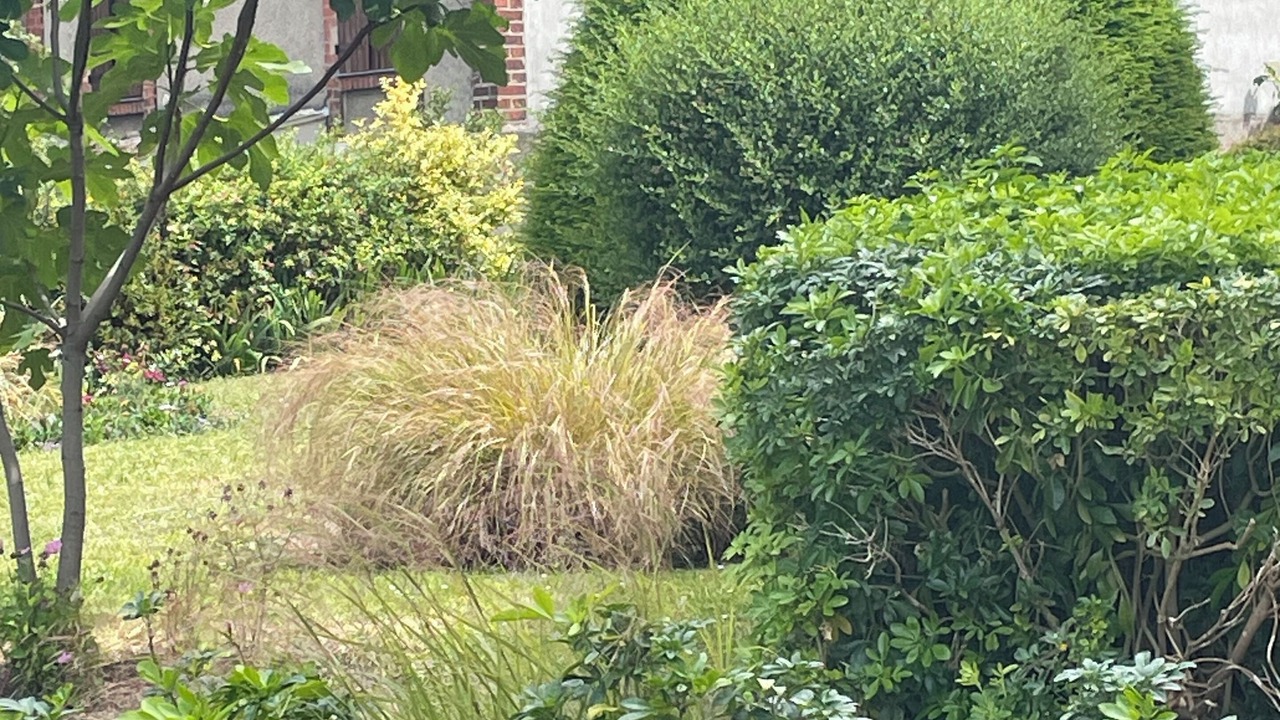 Photo of Outdoor in Bondy