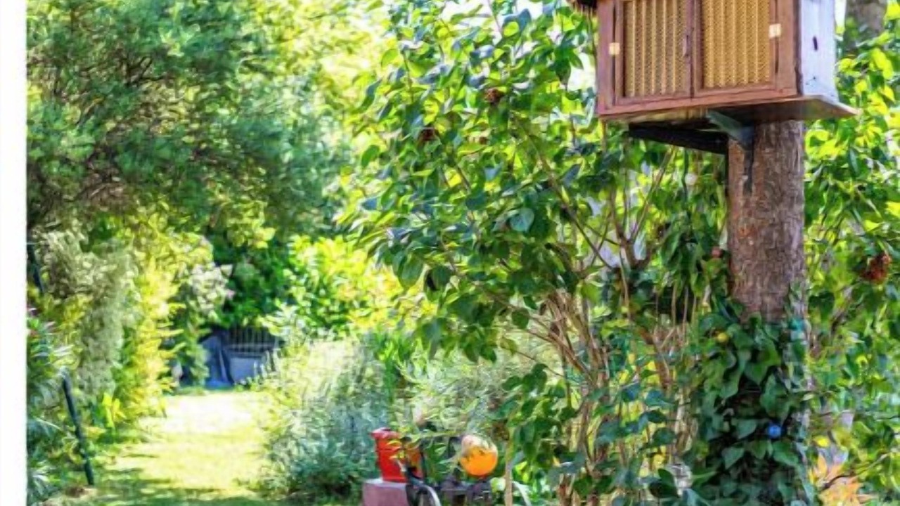 Photo of Outdoor in Maisons-Alfort