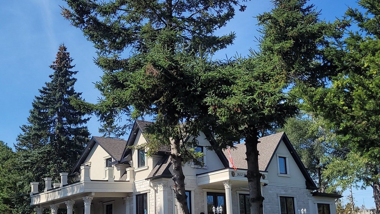 Photo of Outdoor in Mineola