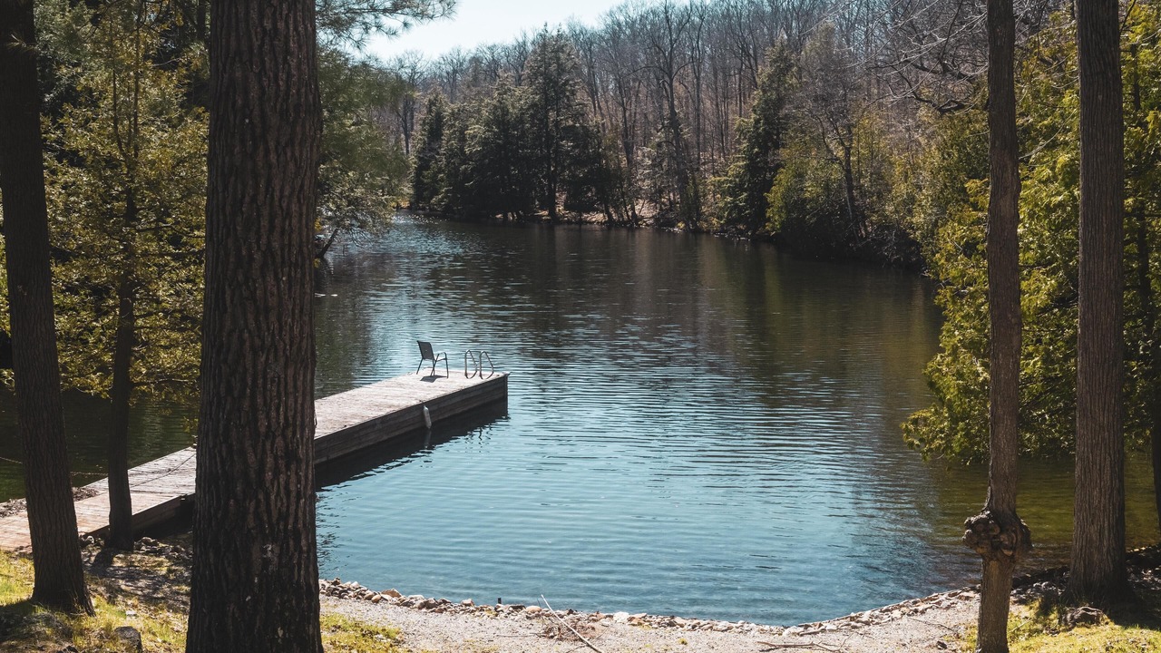 Photo of Outdoor in Tay Valley