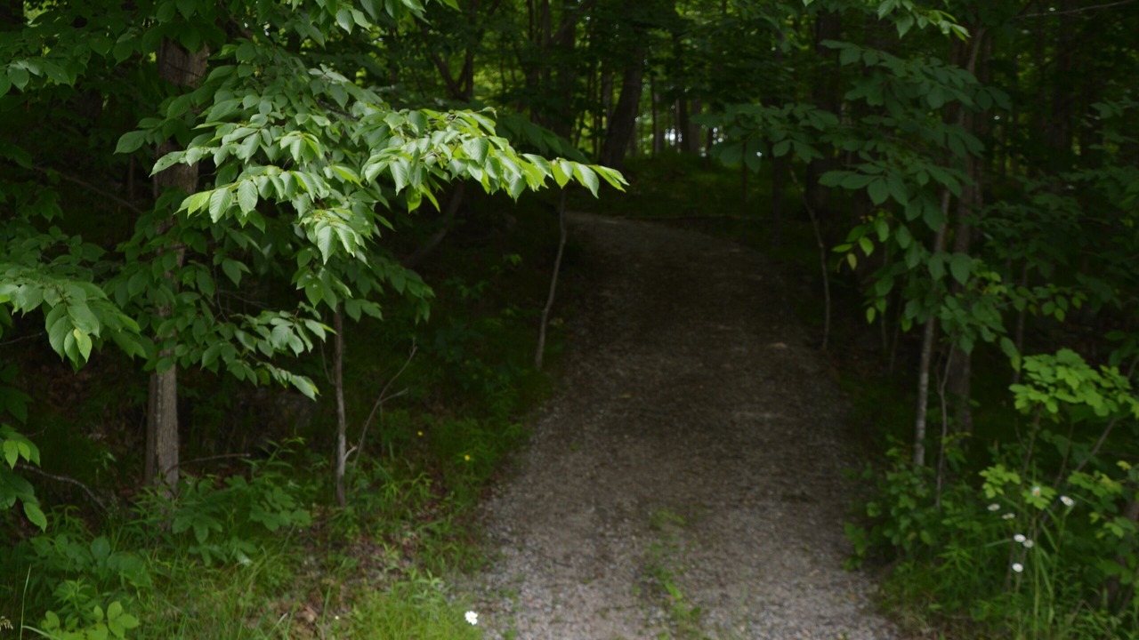 Photo of Outdoor in Tay Valley