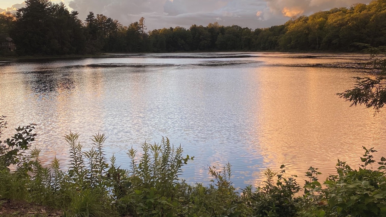 Photo of Outdoor in Seguin