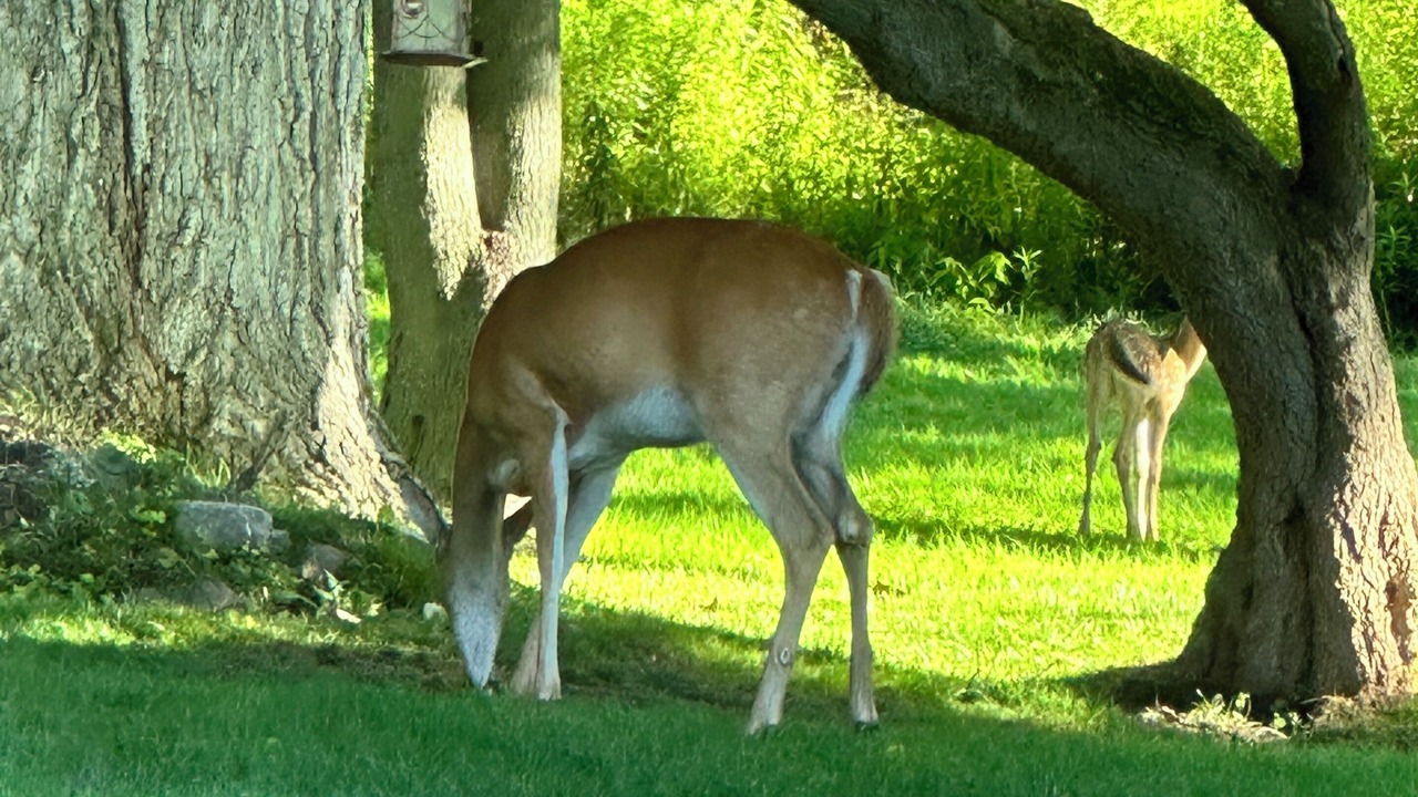 Photo of Outdoor in Port Stanley
