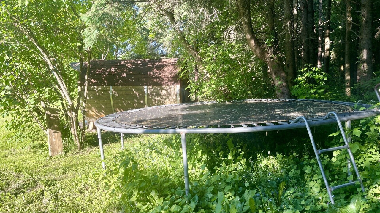 Photo of Outdoor in King