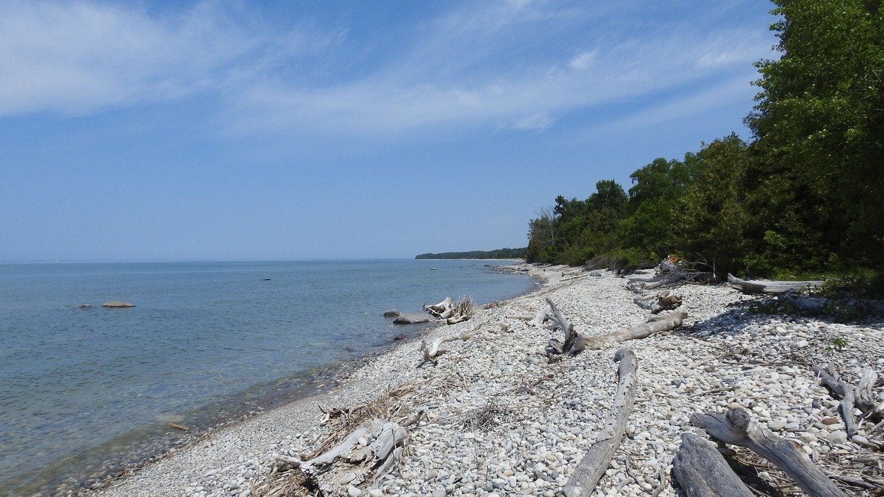 Photo of Others in Southampton