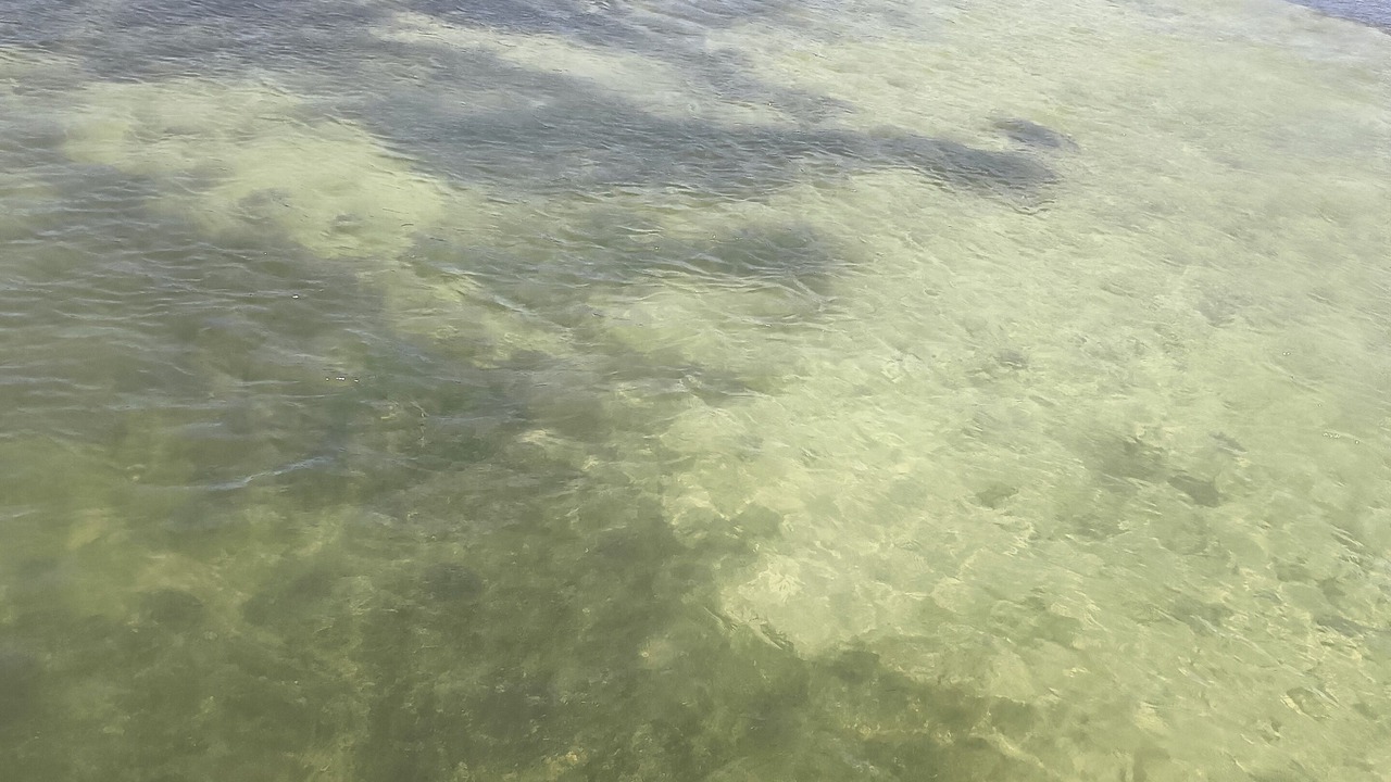 Photo of Others in Key West