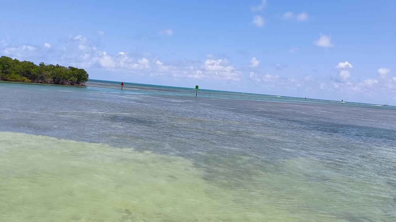 Photo of Others in Key West