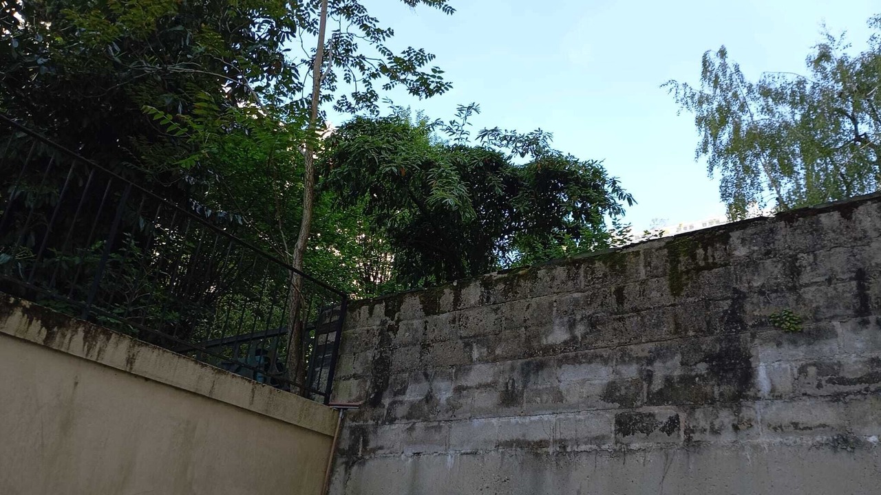 Photo of Outdoor in Billancourt–Rives de Seine