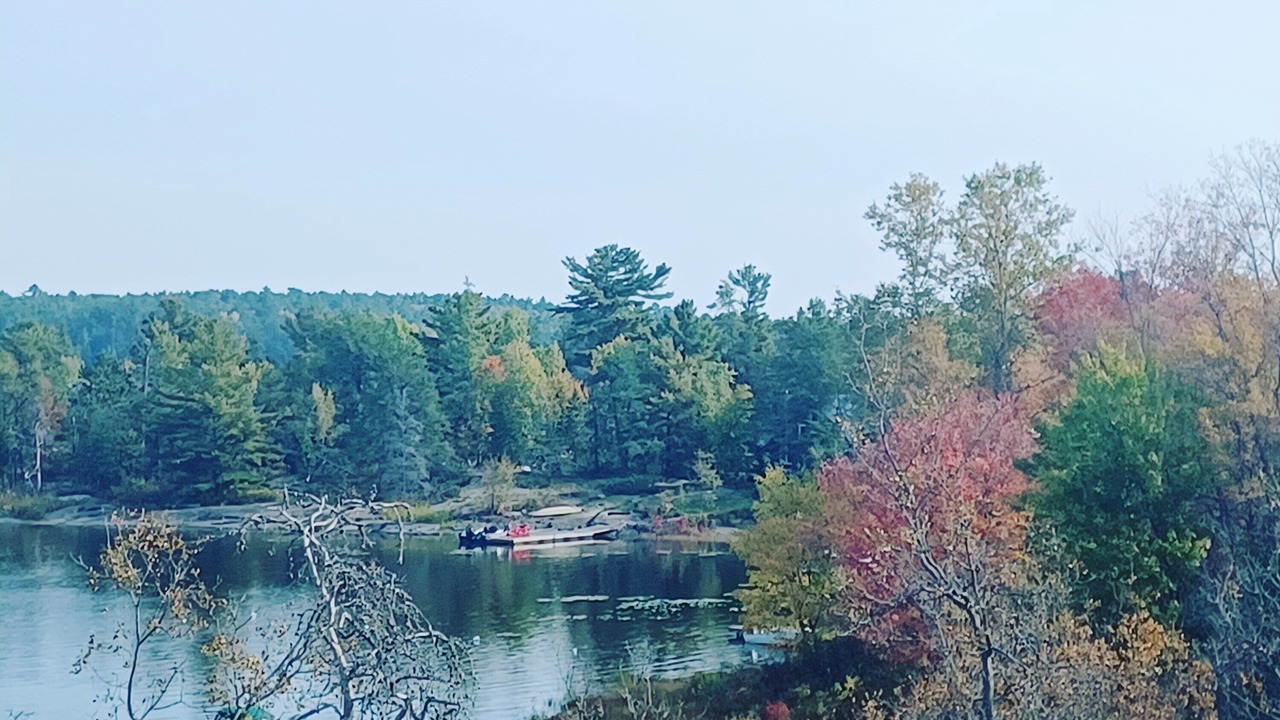 Photo of Outdoor in Bigwood