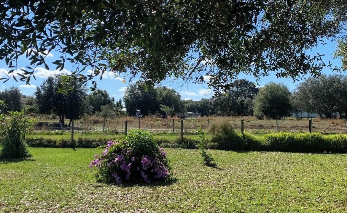 Photo of Outdoor in Arcadia
