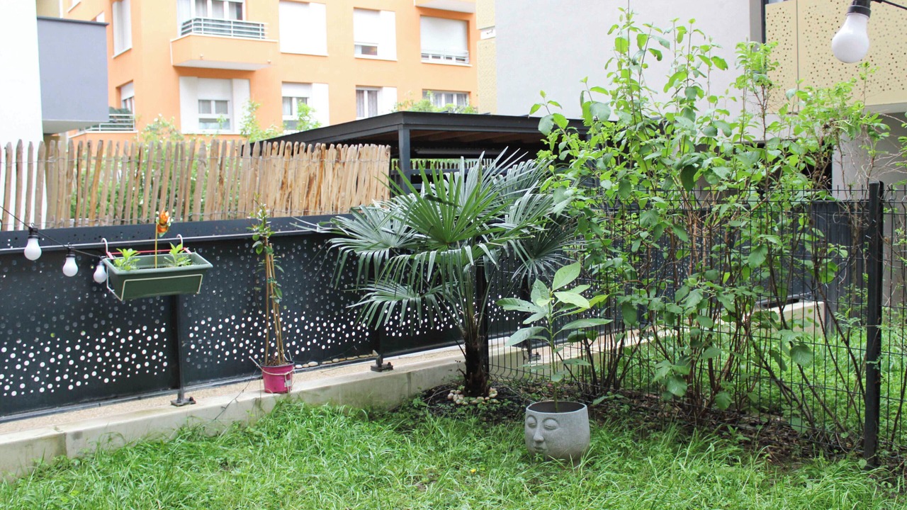 Photo of Outdoor in Malakoff