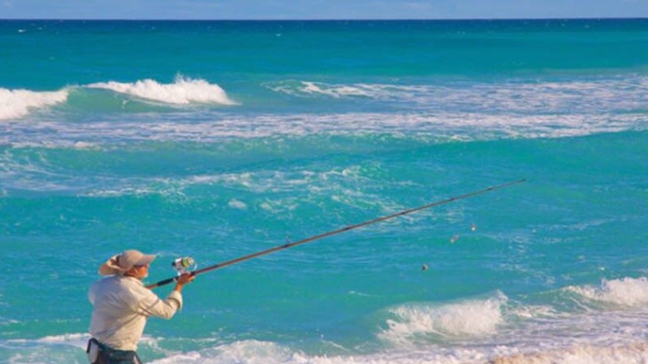 Photo of Others in Fort Pierce Shores