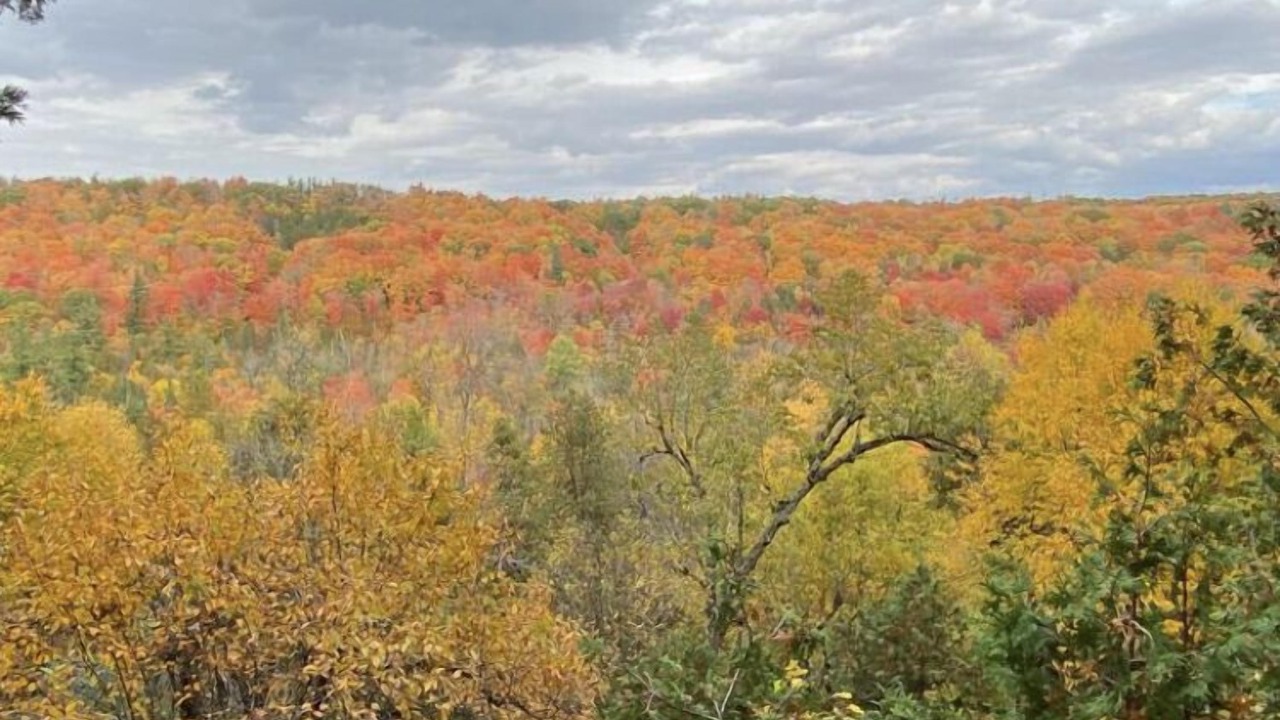 Photo of Others in Halton Regional Municipality