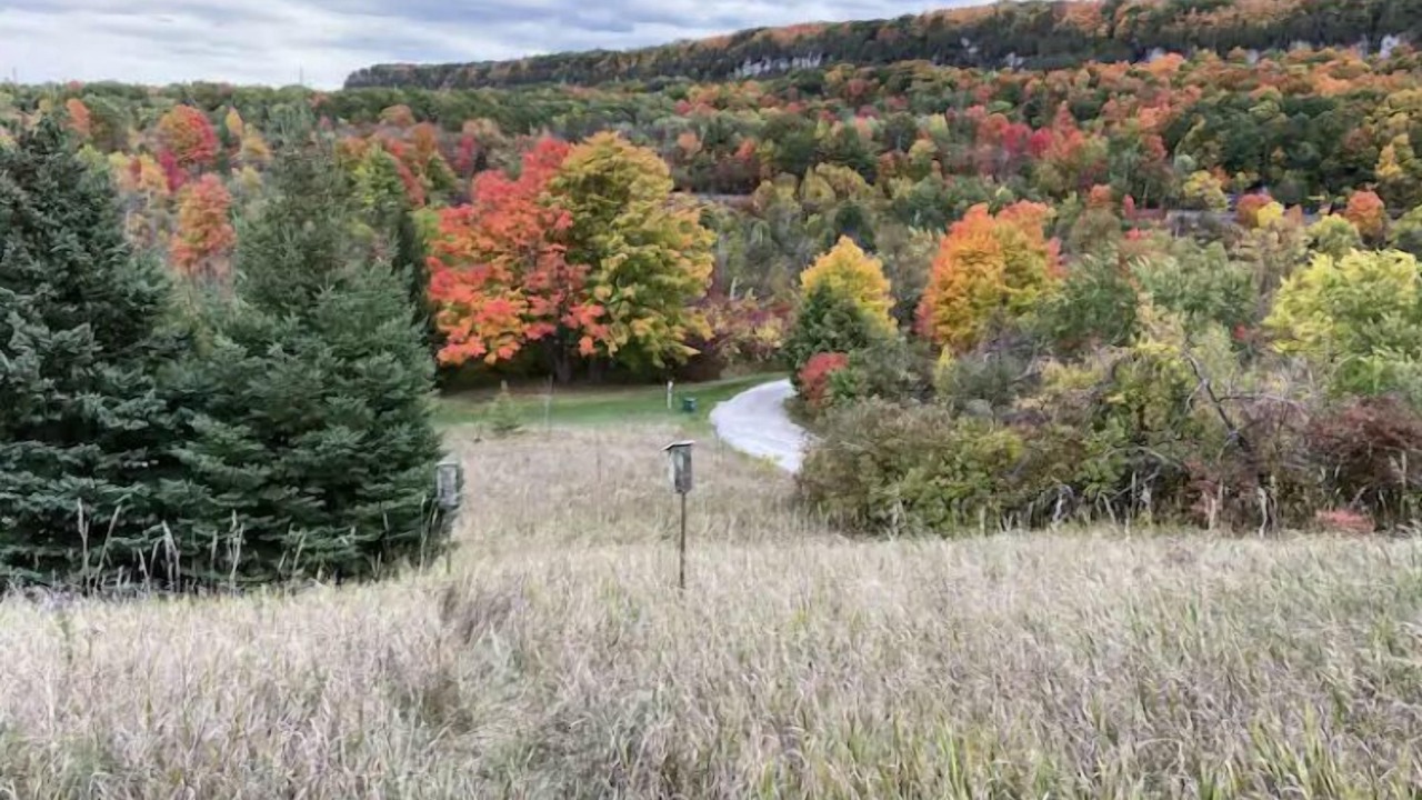Photo of Outdoor in Halton Regional Municipality