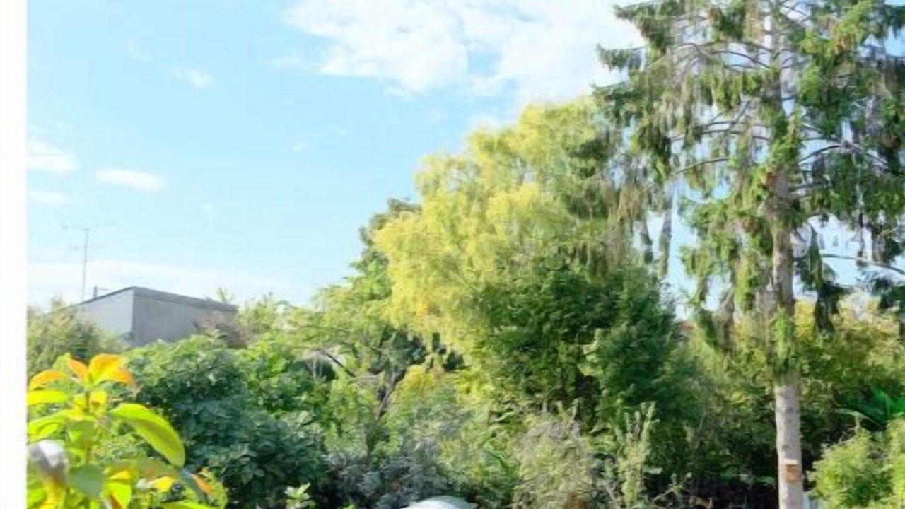 Photo of Outdoor in Vitry-sur-Seine