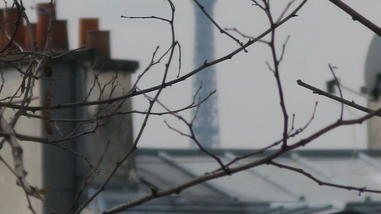 Photo of Outdoor in Montmartre