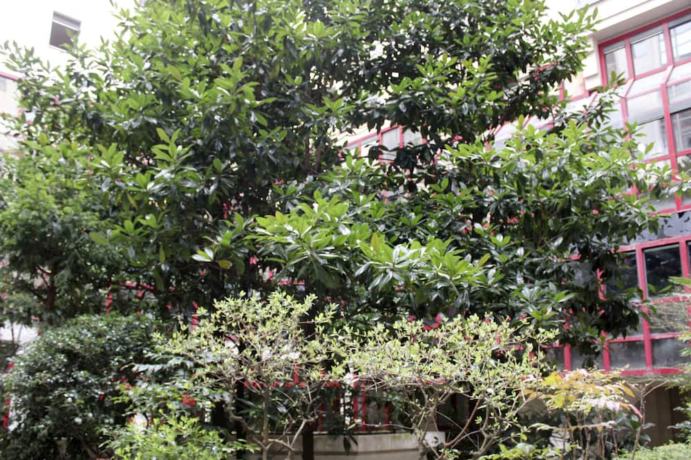 Photo of Outdoor in Parc-de-Montsouris