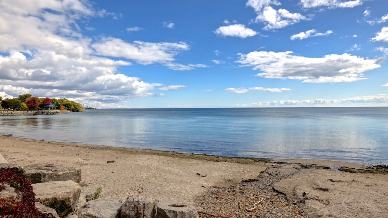 Photo of Others in Port Credit
