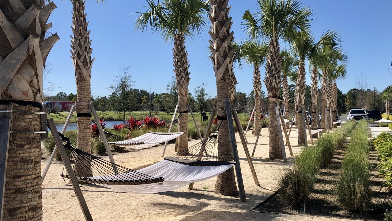 Photo of Others in Lake Buena Vista