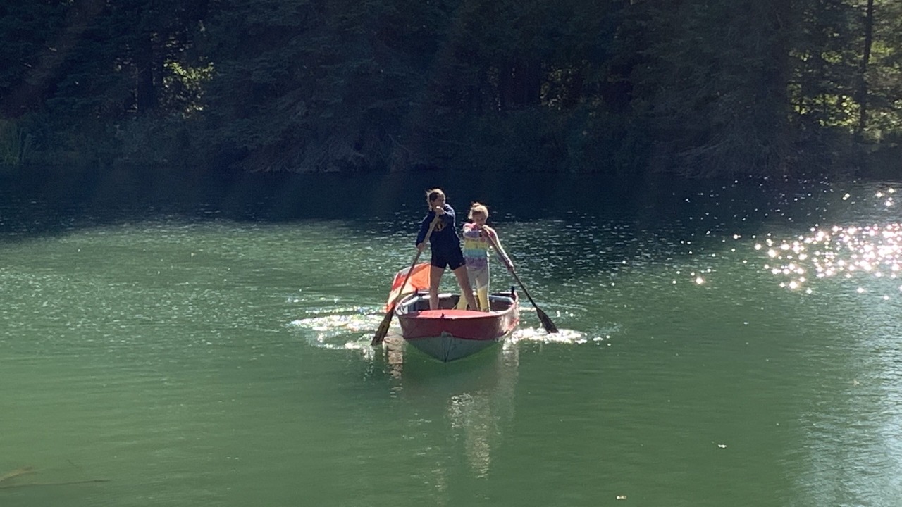 Photo of Others in Flesherton