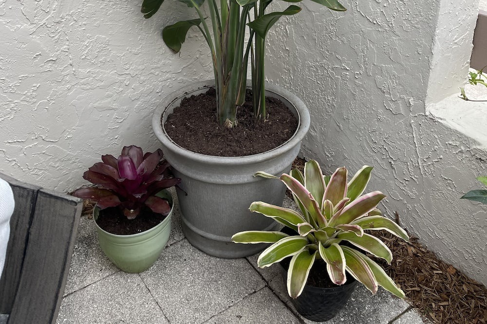 Photo of Outdoor in Brooksville