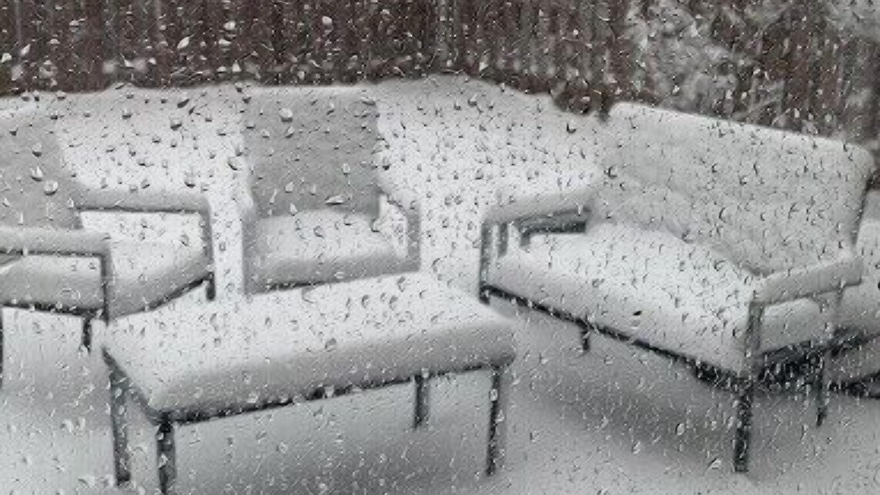 Photo of Outdoor in East Credit