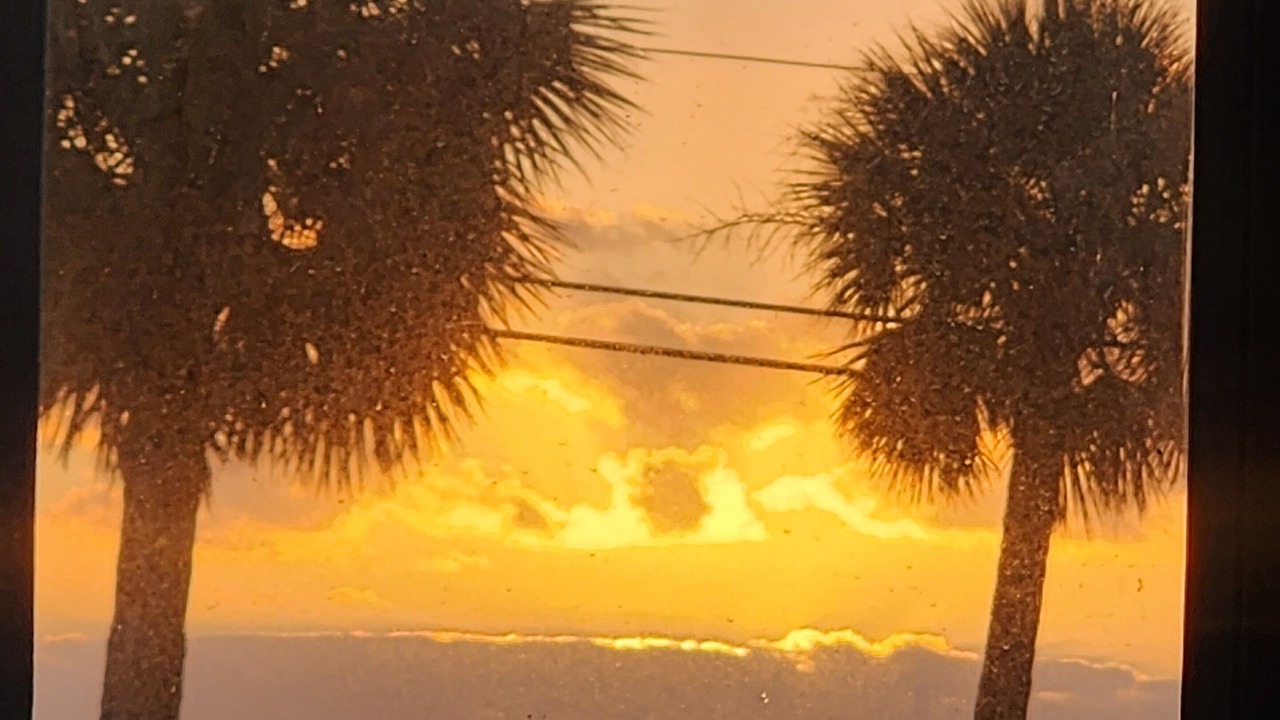 Photo of Others in Indian River Estates