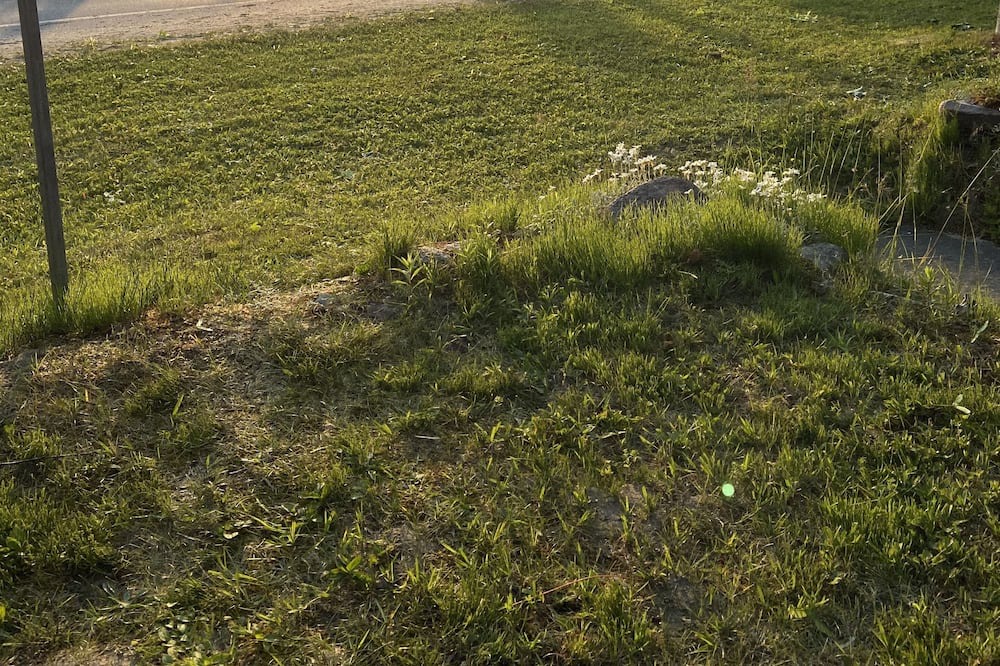 Photo of Outdoor in Sauble Beach