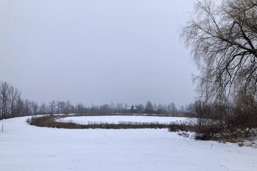 Photo of Outdoor in Oak Hill