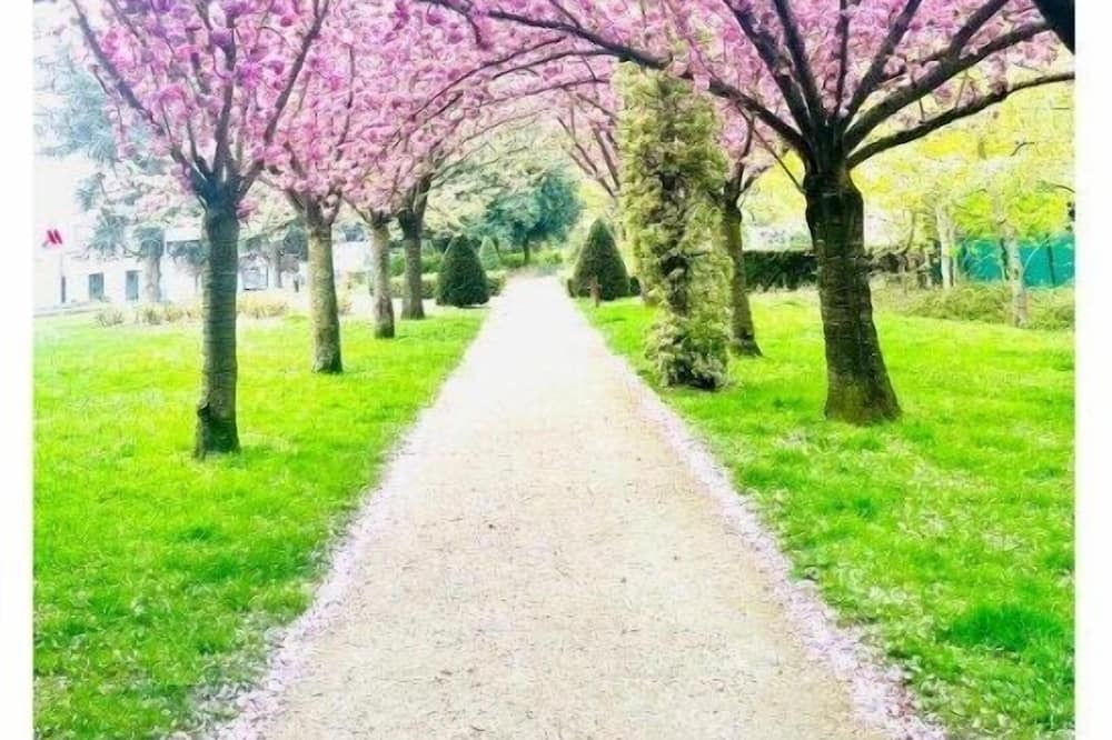 Photo of Others in Roissy-en-France