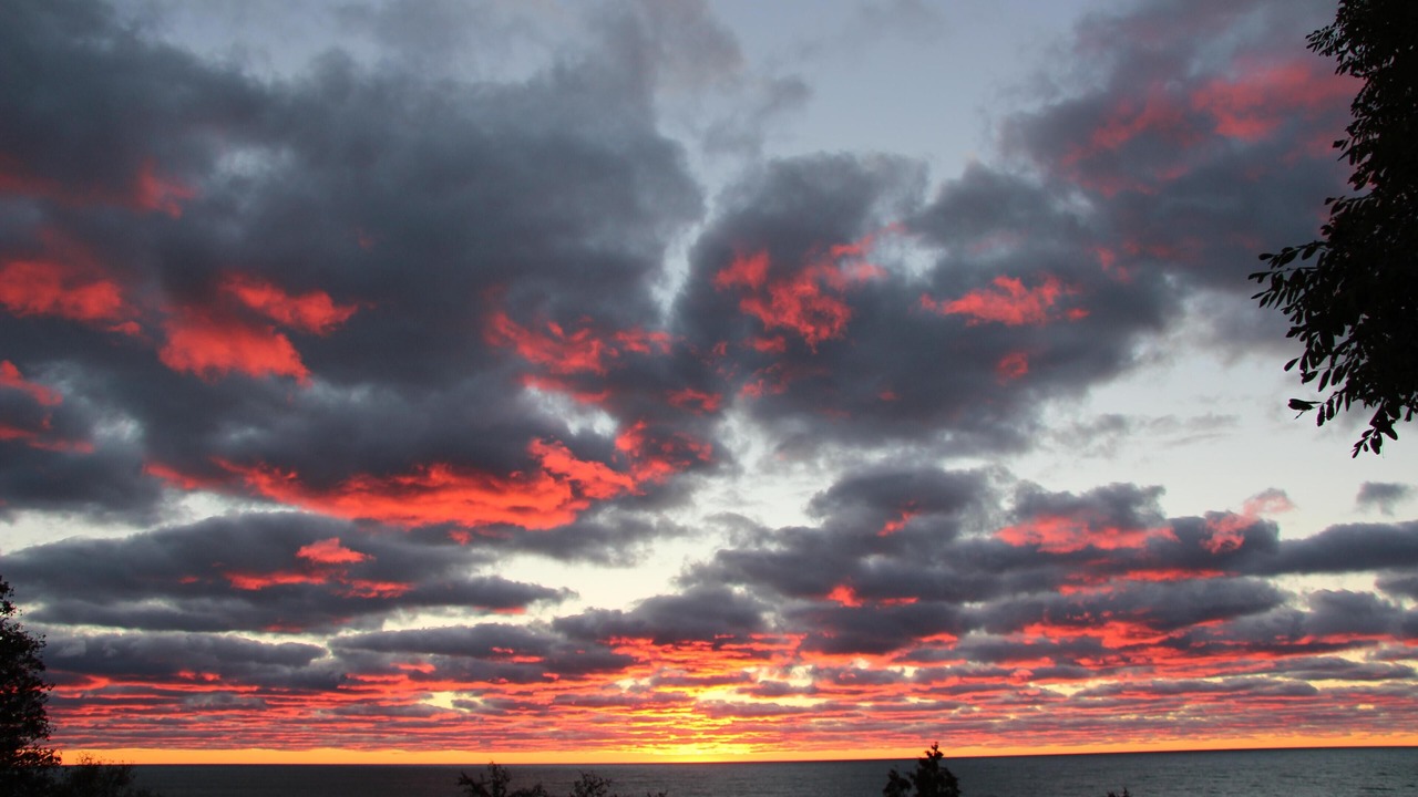 Photo of Others in Port Albert