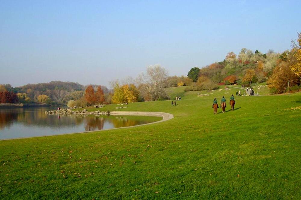 Photo of Others in La Courneuve