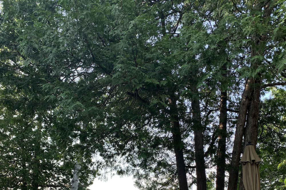 Photo of Outdoor in Cloyne