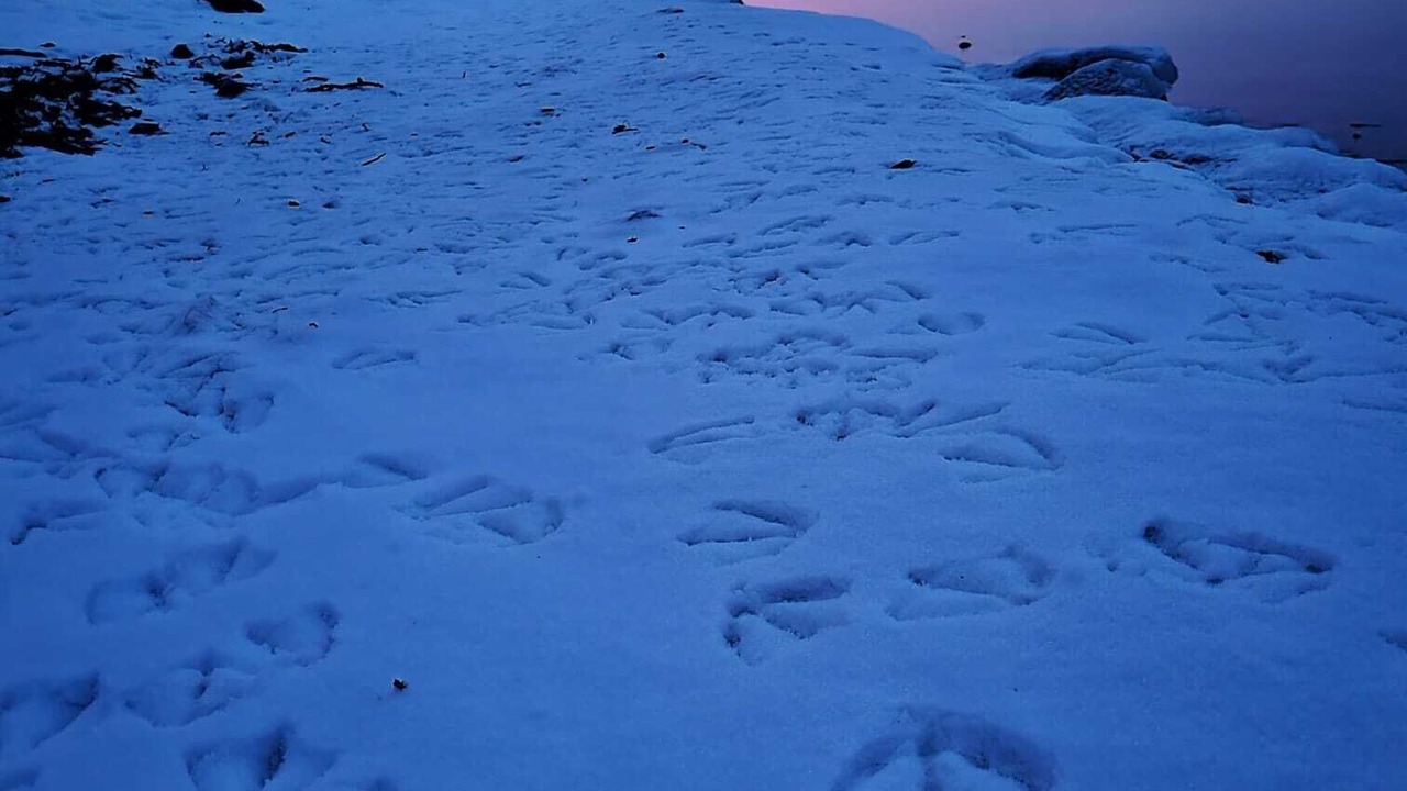 Photo of Outdoor in Cressy