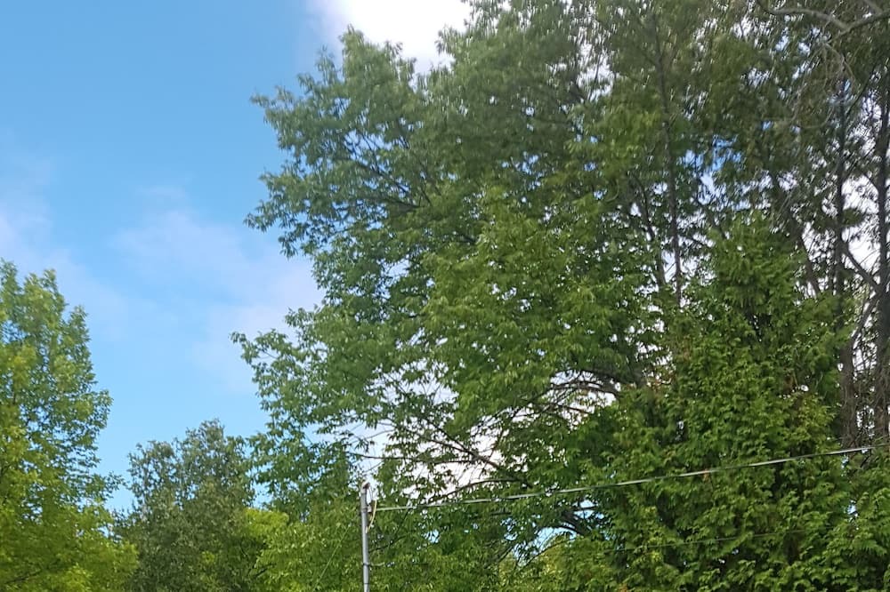 Photo of Outdoor in Manitoulin District