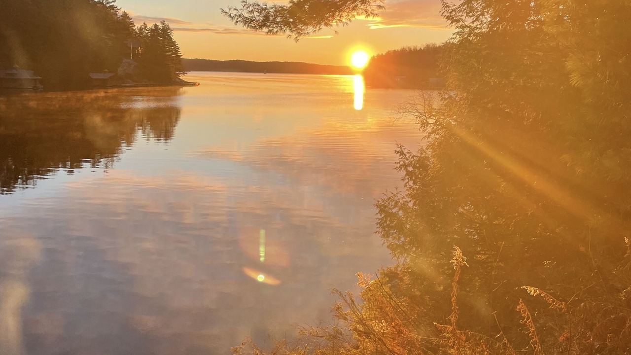 Photo of Others in Rosseau