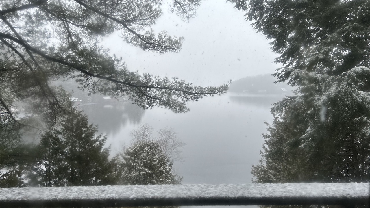 Photo of Outdoor in Rosseau
