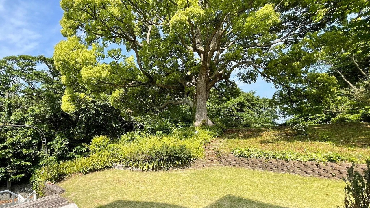 Photo of Outdoor in Higashiizu