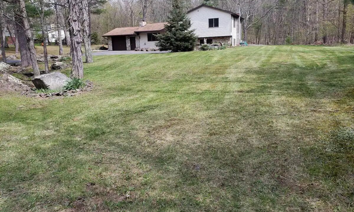 Photo of Outdoor in Purling