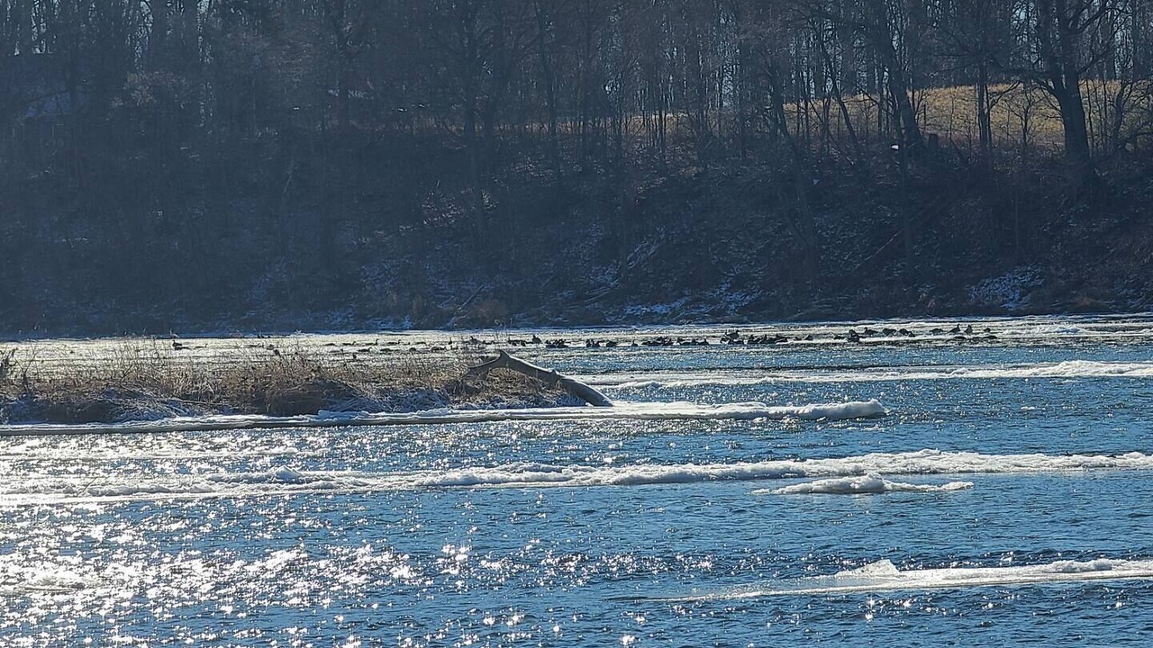 Photo of Others in Caledonia