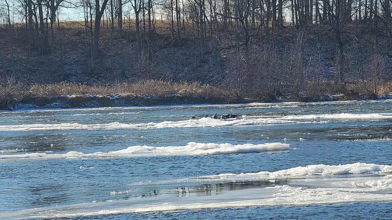 Photo of Others in Caledonia