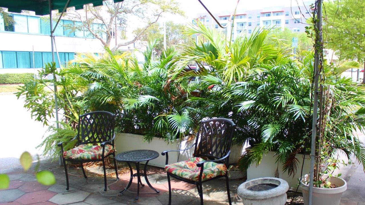 Photo of Patio Balcony in Downtown St. Petersburg