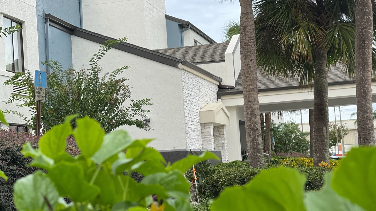 Photo of Outdoor in West Kissimmee