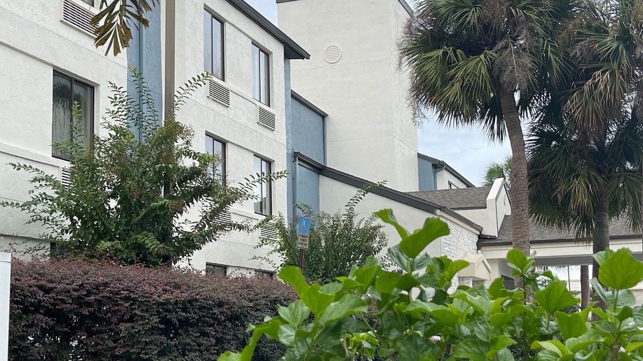 Photo of Outdoor in West Kissimmee