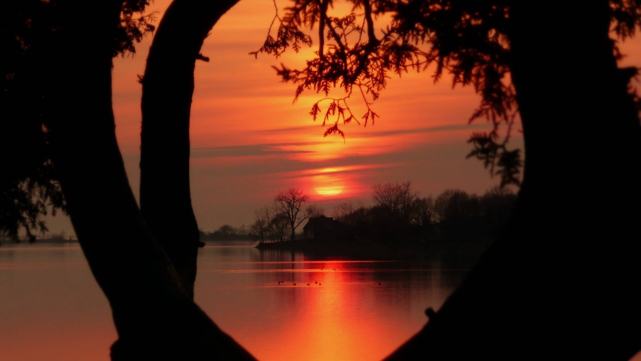 Photo of Others in West Lake