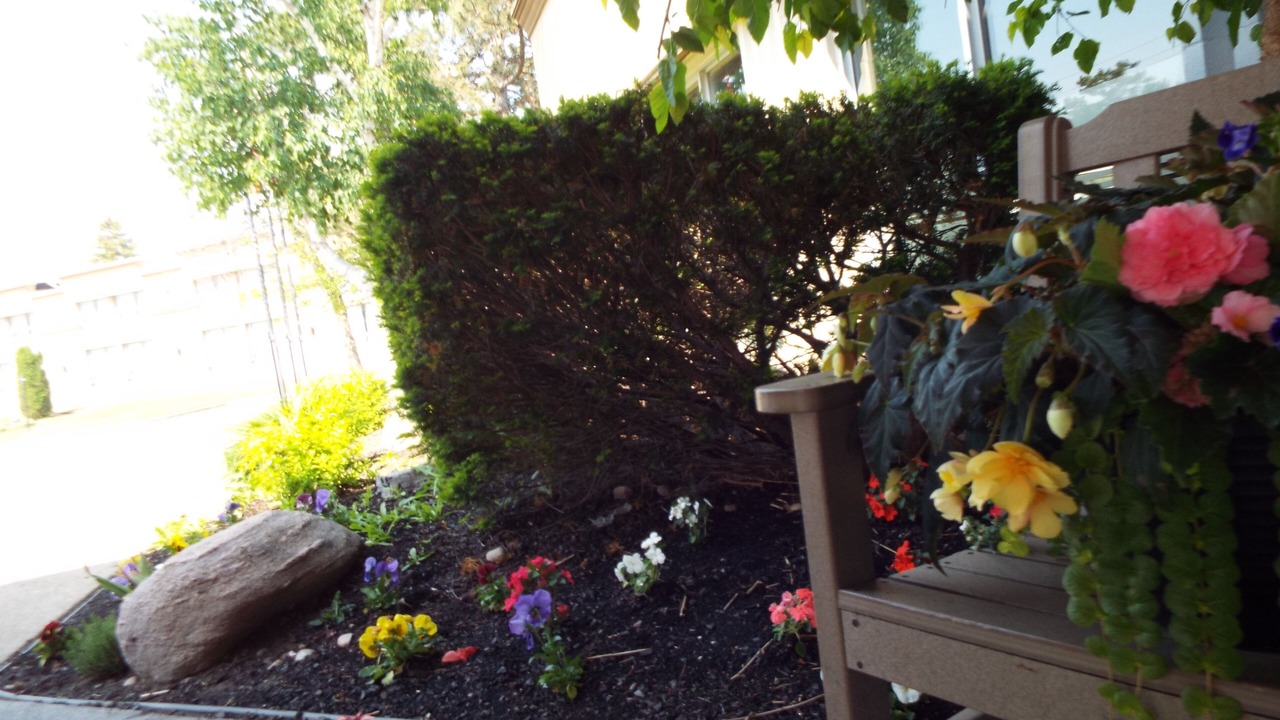 Photo of Outdoor in Owen Sound